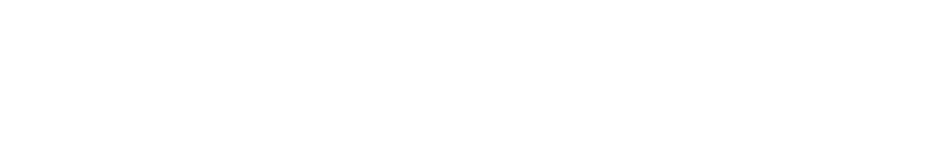 Pilot Systems AI